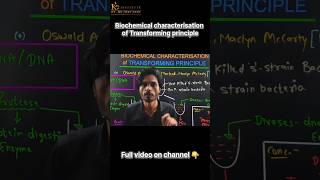 Biochemical Characterisation of Transforming Principle Molecular Basis of Inheritance  Class 12 [upl. by Yusuk]