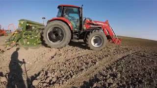 Siew amp Walcowanie 2018  Case 95 Farmall U Amazone AD303  Ursus C330 [upl. by Essy400]