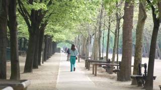 Printemps 2011 Le Jardin du Luxembourg Une réalisation de Atilio [upl. by Lawley]