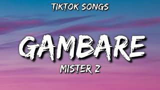 Gambare  Mister z TikTok Songs audio [upl. by Taffy98]