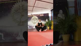 5 Yoga Sequence for abdominal strength amp digestive health guthealth shortsyoutube yogashorts [upl. by Habeh973]