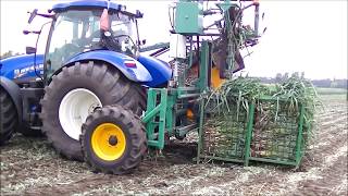 Prei rooien  Leek harvest  Lauch ernten  Baekelandt  New Holland  Agriculture  Preioogst [upl. by Cordell995]