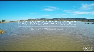 Madikwe Safari Lodge Experience [upl. by Leann]