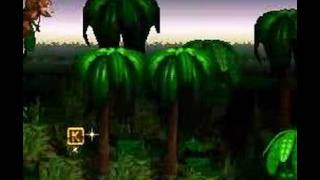 SNES Donkey Kong Country  Jungle Hijinks [upl. by Elem522]