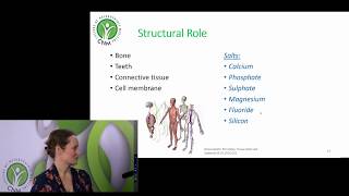 12 Cell Salts of Dr Schuessler [upl. by Niwrehs]