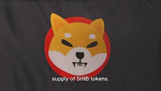 quotShiba Inu Crypto Wallet Reactivates After 528 Days to Burn 372M SHIBquot [upl. by Sama]