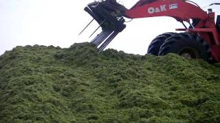 Silage 2011 with Tim Twomey [upl. by Einwahr67]