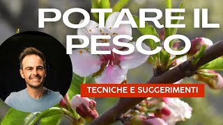 Potatura del Pesco Tecniche e Segreti per la potatura di Pesco Nettarine Percoche e Saturnina [upl. by Bealle81]