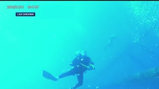 Coast Guard rescues missing divers near Texas coast [upl. by Elman]