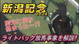 ライトバック放馬事象を解説！ 新潟記念2024 元馬術選手のコラム [upl. by Bathilda897]