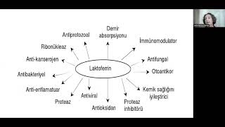 LACTOFERRİN SUNUM [upl. by Gladine]