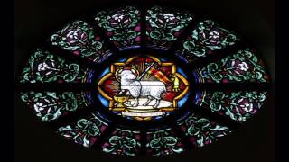 Agnus Dei qui tollis peccata mundi miserere nobis [upl. by Koslo]