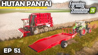 FIRST TIME HARVESTING COTTON  Farming Simulator 25  Hutan Pantai  Episode 51 [upl. by Eartnoed245]