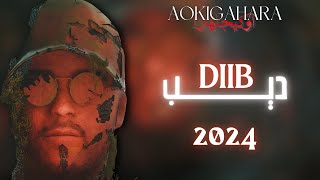 Diib  2024 Lyrics [upl. by Chickie437]