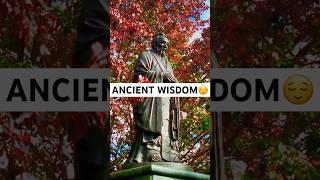 What is Confucianism Ancient Wisdom for Harmony and Morality philosophy selfimprovement mindset [upl. by Merriott230]