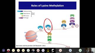 Histone methylation Part 2 Roles of Lysine methylation Cross talk transcription amp recrutiment [upl. by Isyak]