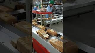 Bread Packing Machine 9326670566 [upl. by Anyak]