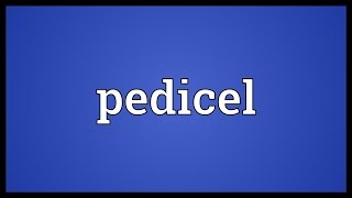 Pedicel Meaning [upl. by Eleik]