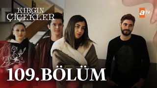 Kırgın Çiçekler 109 Bölüm atvturkiye [upl. by Zosema]