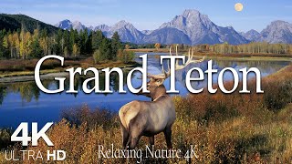 Grand Teton National Park 4K Ultra HD • Stunning Footage Scenic Relaxation Film with Calming Music [upl. by Wesley]