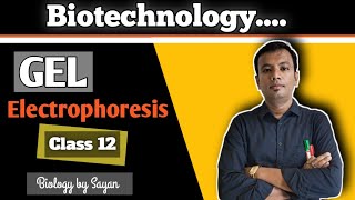 Gel Electrophoresis Biotechnology Class 12 NEET [upl. by Ericksen432]