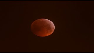 P1000 Zooming the Total Lunar Eclipse blood moon Jan 21st 2019 [upl. by Idnym]