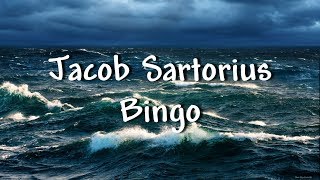 Jacob Sartorius  Bingo  Lyrics [upl. by Yauqaj796]