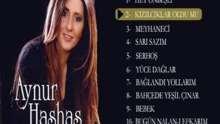 Aynur Haşhaş  Kızılcıklar Oldu Mu Official Audio [upl. by Cut]