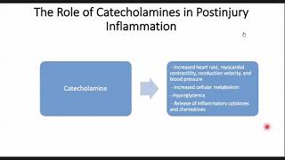 Systemic Response to Injury and Metabolic Support [upl. by Yecrad]
