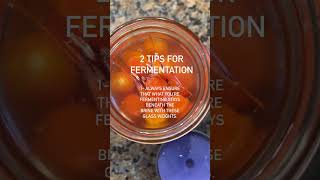 2 Tips For Fermentation [upl. by Zeba992]