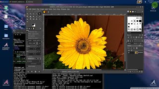 Running Debian Linux XFCE4 on Note 9 with Termux and Samsung Dex  USB Hub with all peripherals [upl. by Nytsua]