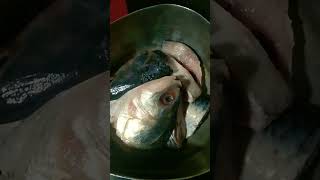 Ilish macher Matha Diye Kochu Sagar recipefood music [upl. by Chelsie]