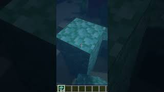 How to build Conduit Frame 🤔🔨 shorts minecraft [upl. by Aldridge]