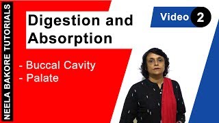 Digestion and Absorption  NEET  Buccal Cavity  Palate  Neela Bakore Tutorials [upl. by Leunamme391]