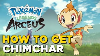 Pokemon Legends Arceus How To Get Chimchar [upl. by Olatha816]