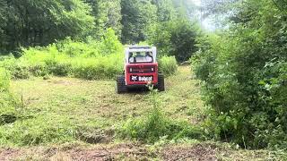 Bobcat t770 mowing [upl. by Humfrid]