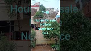 y48house for sale nelloreVedayapalem75 lakhsnorth faceregistered loan facility [upl. by Ytak]