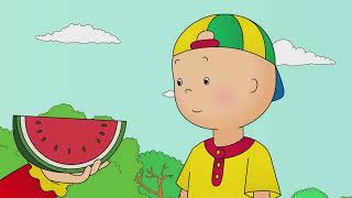 help dad   Caillou en Français [upl. by Ecinahc]