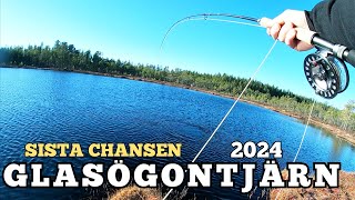 FISKE I DALARNA  GLASÖGONTJÄRN 2024 [upl. by Cod]