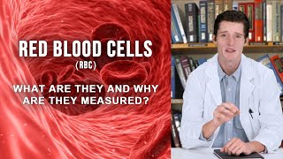 RED BLOOD CELLS RBC  what are they and why are they measured [upl. by Jarin930]