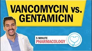 Pharmacology  Vancomycin vs Gentamicin Antibiotics nursing RN PN NCLEX [upl. by Fergus584]