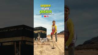 আল্লাহর মেহমান🥰bayazid0007 trending ytshorts baizedmahmud islamic [upl. by Beaver68]