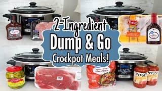 10 Cheap amp Fancy Crockpot Dinners  The EASIEST 2Ingredient Slow Cooker Recipes  Julia Pacheco [upl. by Shelly369]