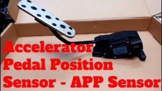 Accelerator Pedal Position Sensor  APP Sensor Accelerator Position Sensor Car going into Limp Mode [upl. by Trebo152]