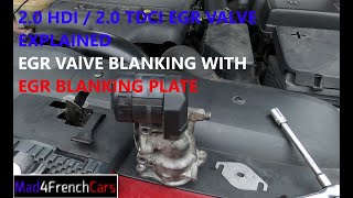 20HDI  20TDCI EGR valve and EGR valve blanking with blanking plate [upl. by Darrej]