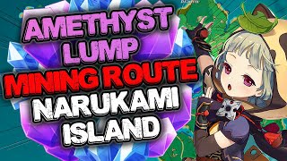 Narukami Island Amethyst Lump Farming Route  4 NPCs That Gives Amethyst Lump Locations  Inazuma [upl. by Ymerej]