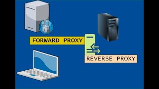 Forward and Reverse Proxy  Proxy  Hindi  Urdu [upl. by Yatnuahc]