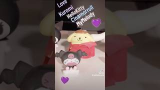 My Hello Kitty and Friends Collection 💜 kidsfunnyvideos funny hellokitty funny cinnamoroll [upl. by Amzaj971]