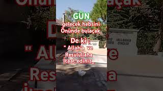 ALİİMRAN SURESİ 303132 AYETLER MEALİ Kuranviralvideo trending shortviral keşfet [upl. by Aisenat]