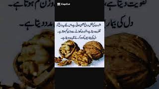 Akhrot Khane Ke Fayde  Benefits Of Eating Walnuts Daily  Akhrot Ke Fawaid walnut akhrot [upl. by Eruot]